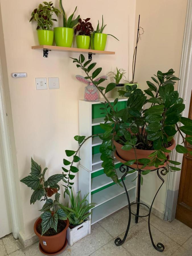 Mini Penthouse Ларнака Екстер'єр фото